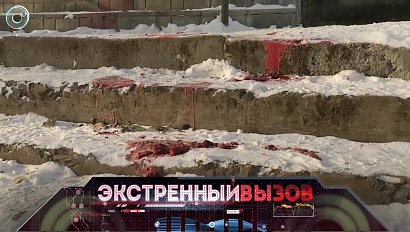 Экстренный вызов: 25 октября 2017