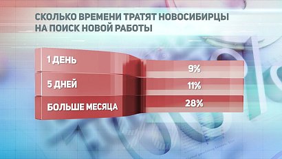 ДЕЛОВЫЕ НОВОСТИ | 17 марта 2021 | Новости Новосибирской области