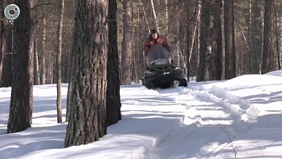 Лосей и косуль спасают от весеннего голода и изменения погоды