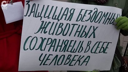 Пикет "Против отмороженных хвостов"