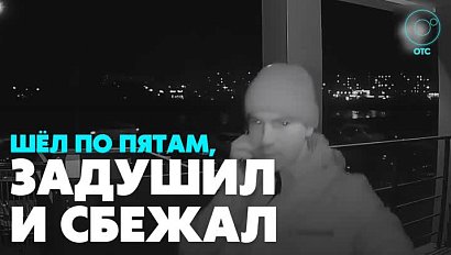 Предполагаемого убийцу молодой девушки задержали в Новосибирске