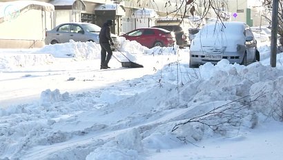 Сильный снегопад накрыл Новосибирск