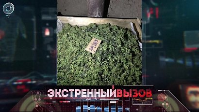 Экстренный вызов: 10 ноября 2017