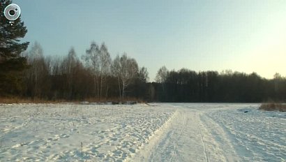 Две особо охраняемые природные территории создали в Новосибирской области