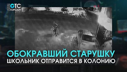 Восемь месяцев воспитательной колонии за кражу слухового аппарата