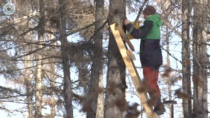 Скворечники в новом парке установили волонтёры