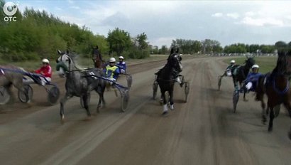 Конные соревнования на Кубок Губернатора