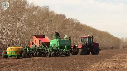 Посевная кампания в Новосибирской области перешагнула "экватор"