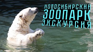 НОВОСИБИРСКИЙ ЗООПАРК | экскурсия