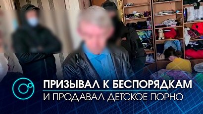 Детской порнографией  торговал искитимец, обвиняемый в призывах к массовым беспорядкам