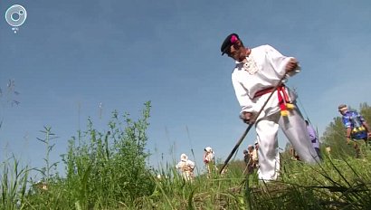 Соревнования по сенокошению провели в Доволенском районе