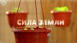 Программа "СИЛА ЗЕМЛИ" | 23 апреля 2021 | Телеканал ОТС