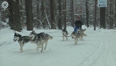 НОВОСТИ в 18:30 – 17 февраля 2022