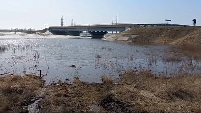 МЧС на страже: борьба с опасными ситуациями на реках