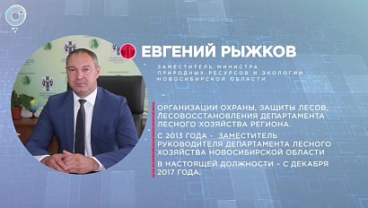 Отдельная тема: лесные пожары