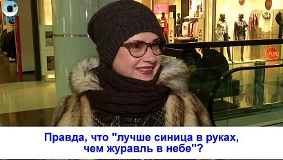 Рубрика "Вам слово": правда, что "лучше синица в руках, чем журавль в небе"?