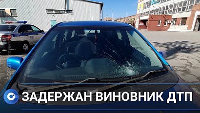 Задержан водитель, сбивший ребёнка на Державина