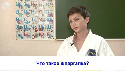 Рубрика "Вам слово": что такое шпаргалка?