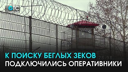 Беглых зеков всё ещё ищут: оперативники рассказали про особые приметы