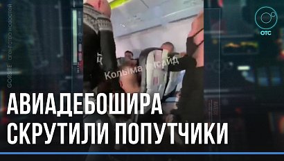 Напал на попутчиков и пытался сломать самолёт. Дебошира из Югры задержали в Новосибирске