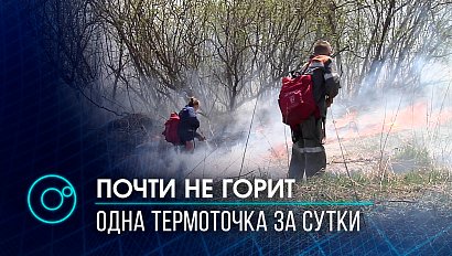 Гореть стало меньше: ситуация с лесными пожарами в Новосибирской области нормализовалась