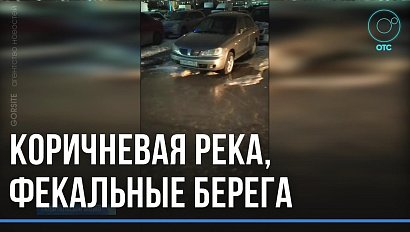 Второй раз за осень: нечистоты на Чистякова вызвали гнев новосибирцев