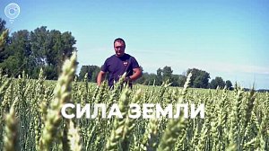 Программа "СИЛА ЗЕМЛИ" | 23 декабря 2022 | Телеканал ОТС