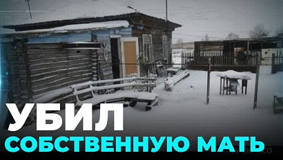 Ударил ножом в шею родную мать житель Новосибирской области