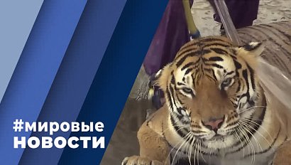 МИРОВЫЕ НОВОСТИ – 26 июля 2022