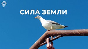 Что водится в таинственной глубине новосибирских озёр? | Программа "СИЛА ЗЕМЛИ" | 05 сентября 2024