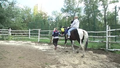 В городе им жить или на выселках? Почему чиновники закрывают бесплатный зоопарк?