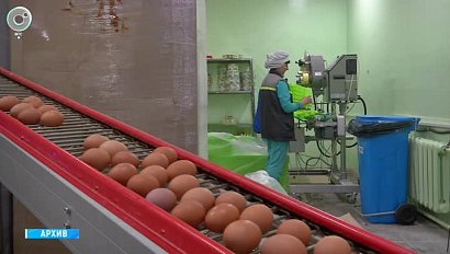 За неделю цена на продукцию птицефабрик Новосибирской области выросла почти на 4%