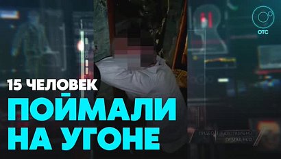 Несколько банд автоугонщиков задержали в Новосибирске