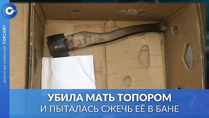 Дочь задержали за убийство матери в садовом обществе под Новосибирском