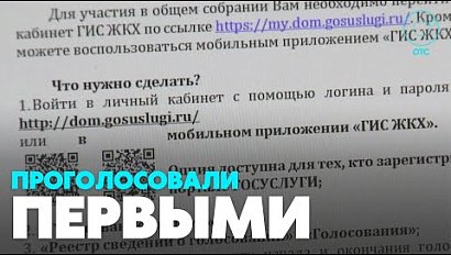 В Новосибирской области провели первое электронное голосование