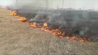 В Новосибирской области - противопожарный режим. Что запрещено и какие штрафы за нарушения?