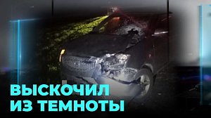 Без шансов: пешеход внезапно появился перед авто на ночной трассе