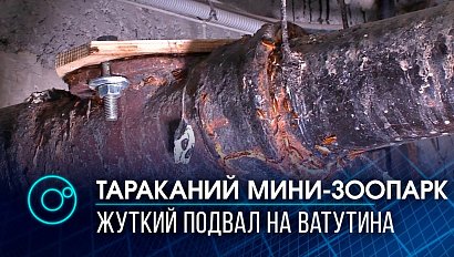 Жуткое наследство: подвал в многоэтажке на Ватутина - страшные кадры коммунального ужаса