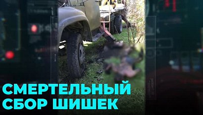 За гибель сторожа и травмы 18-летнего юноши ответит замдиректора Бердского лесхоза