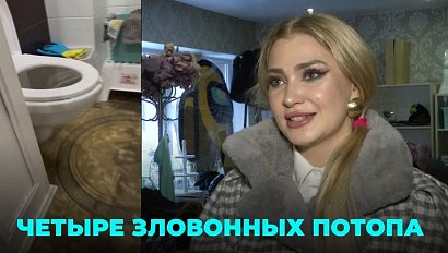 Вода из унитаза затопила квартиру уже в четвёртый раз