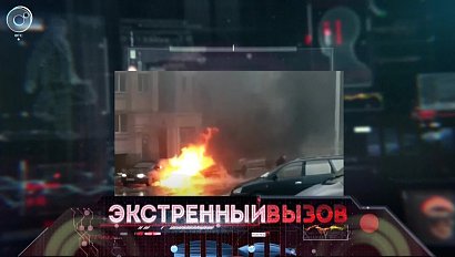 Экстренный вызов: 23 ноября 2018