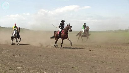 Конноспортивные соревнования прошли в Черепановском районе