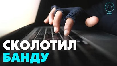 В Новосибирске задержали группу мошенников, которая промышляла межрегиональными финансовыми аферами