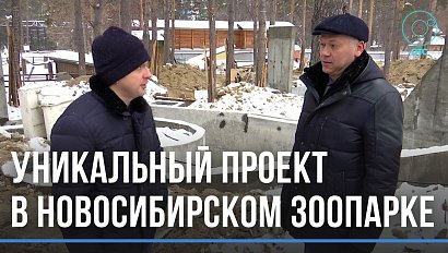 Что нового планируется в Новосибирском зоопарке?