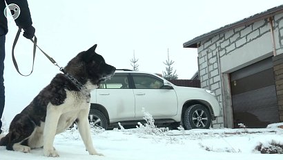 НОВОСТИ УТРА | 02 марта 2021 | Новости Новосибирской области