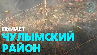 В полях полыхает трава, огонь подступает к рощам. В каких районах сложная обстановка с пожарами?