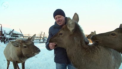 НОВОСТИ УТРА: 27 декабря 2018