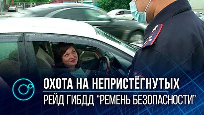 Нарушают все: инспекторы ДПС провели рейд “ремень безопасности”