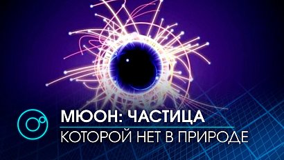 Тайны, которые хранят атомы, раскрыли ученые Института ядерной физики СО РАН