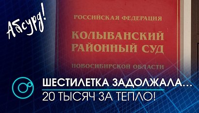 Абсурд: Шестилетнего ребёнка привлёк к суду поставщик тепла в Колывани | Телеканал ОТС